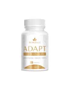 Bravenly Adapt - Mushroom Blend