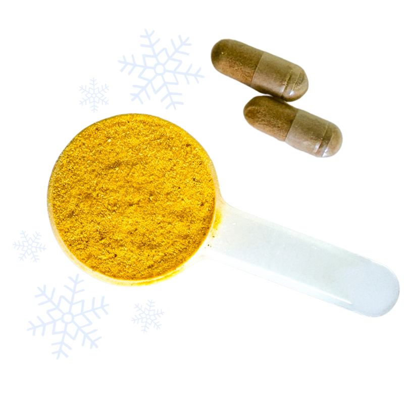 Golden Focus Duo Golden Focus Duo