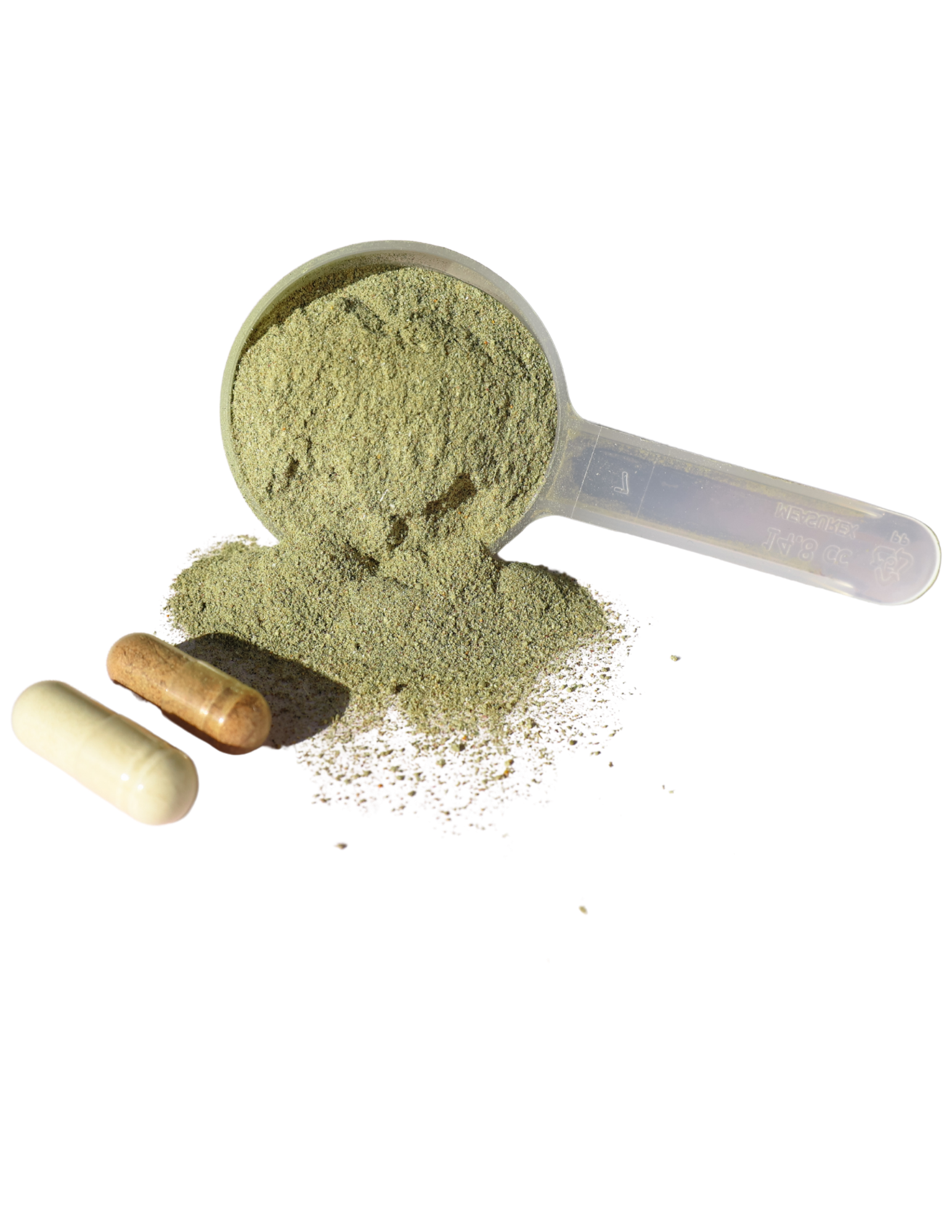 Everyday Wellness Products