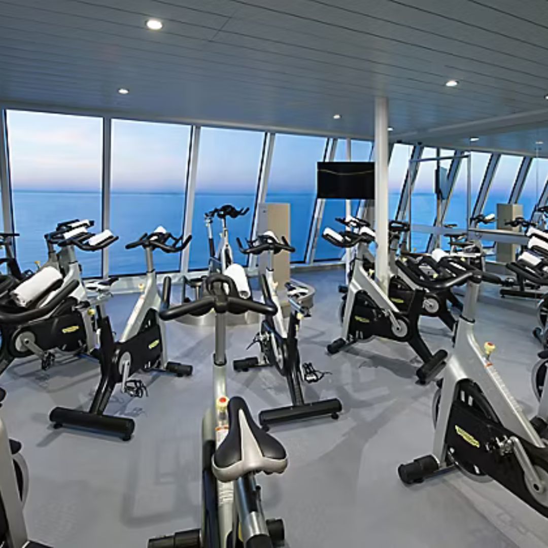 harmony of the seas luxury gym
