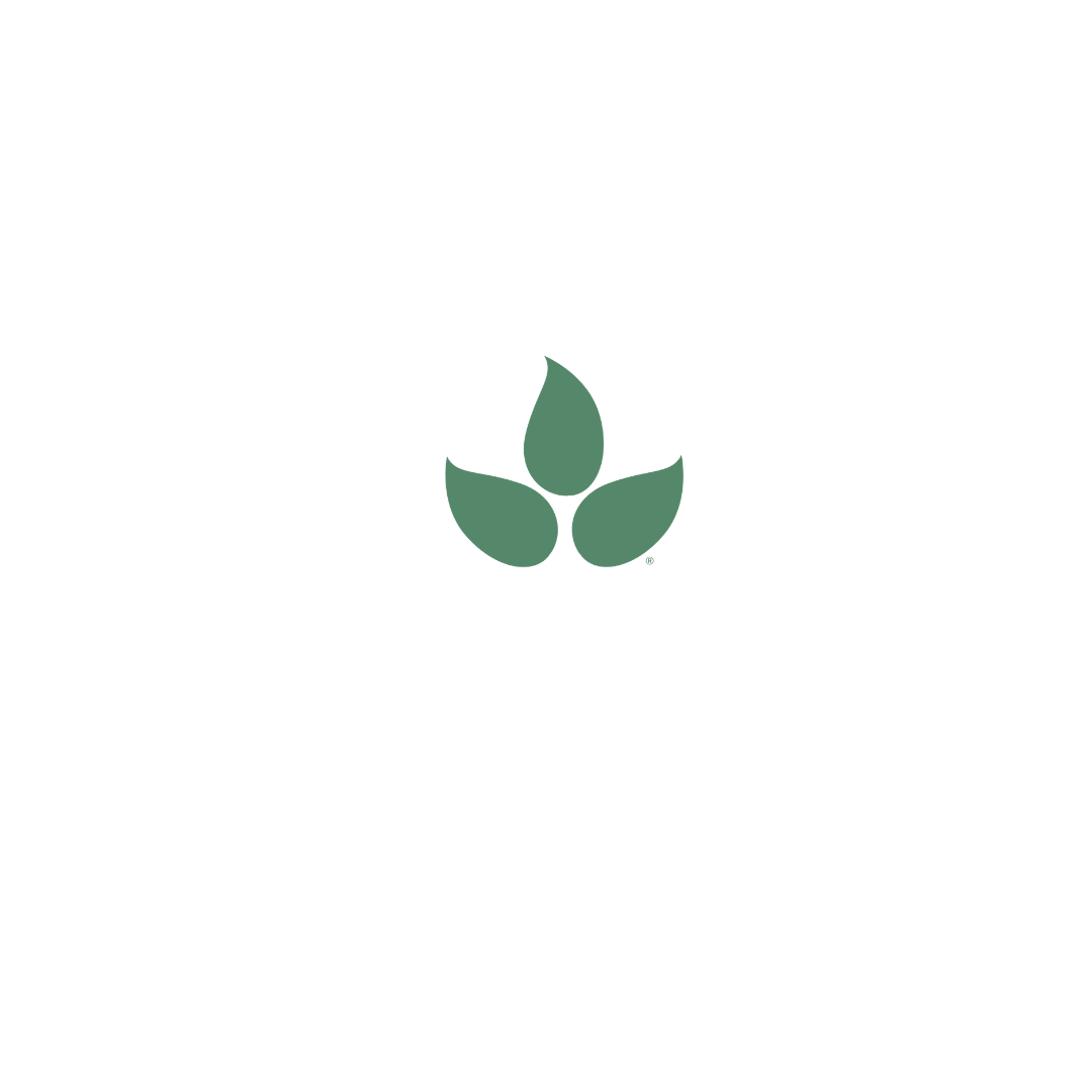 home website icon 1