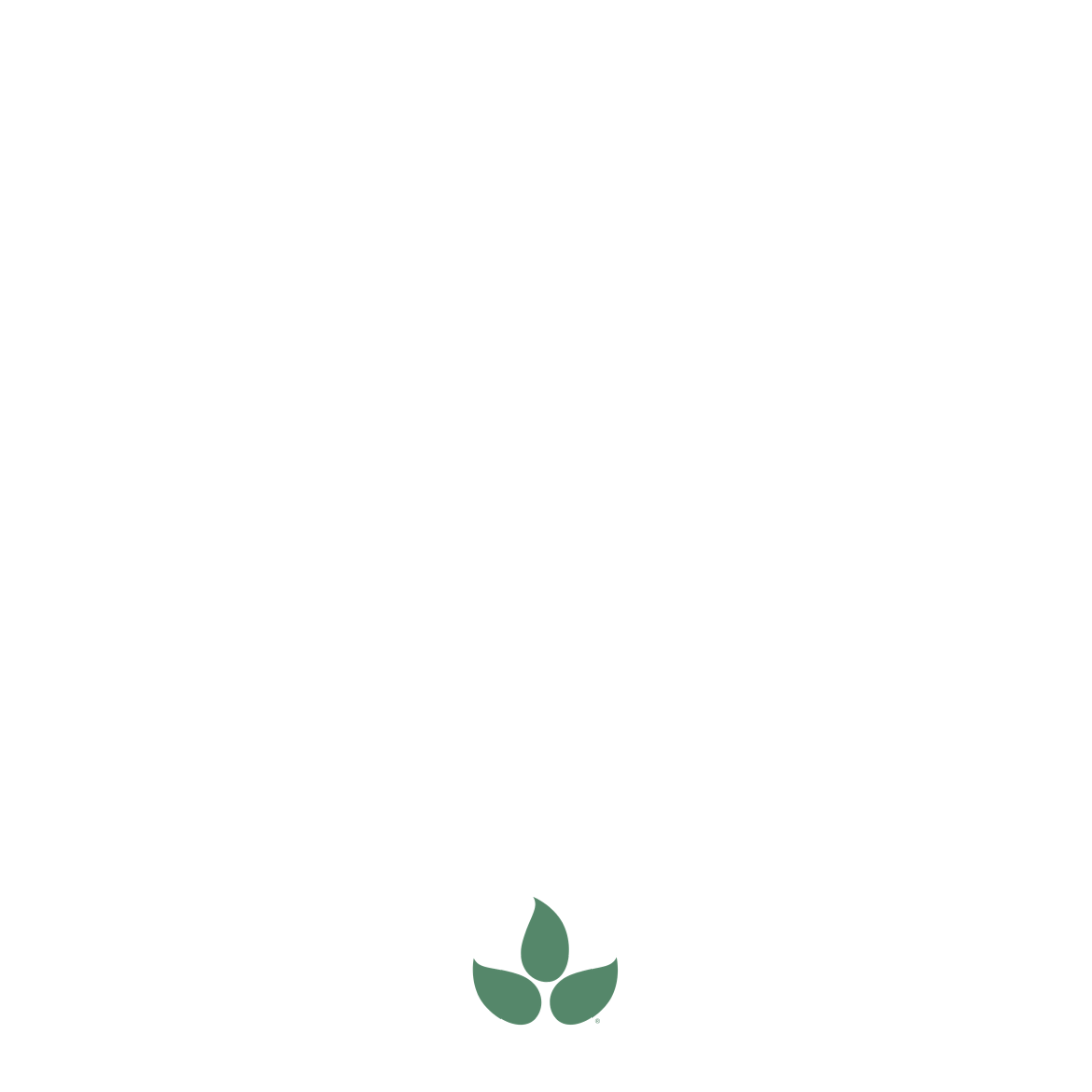 home website icon 2