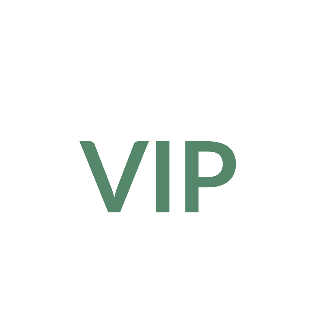 home website icon 3