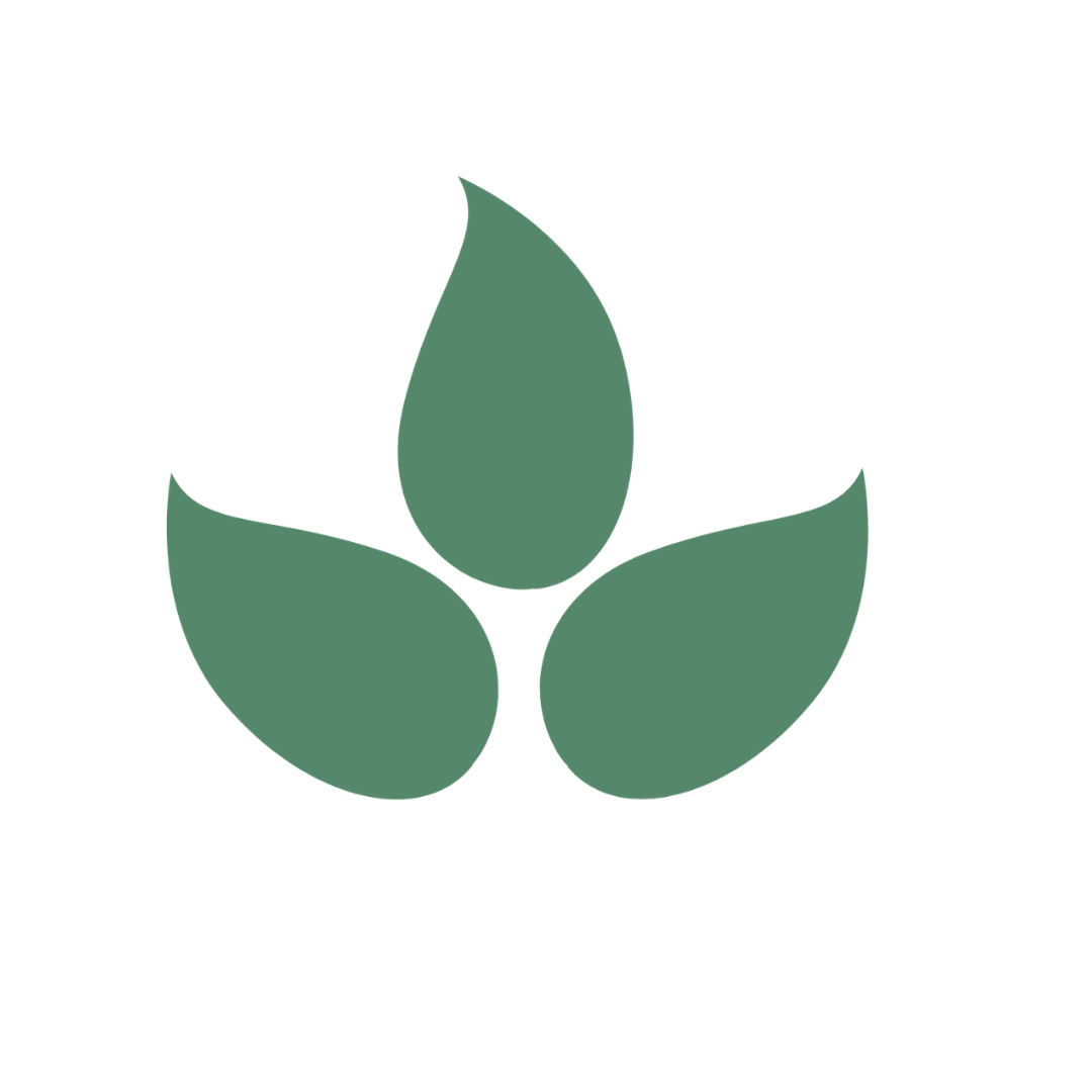 home website icon 4
